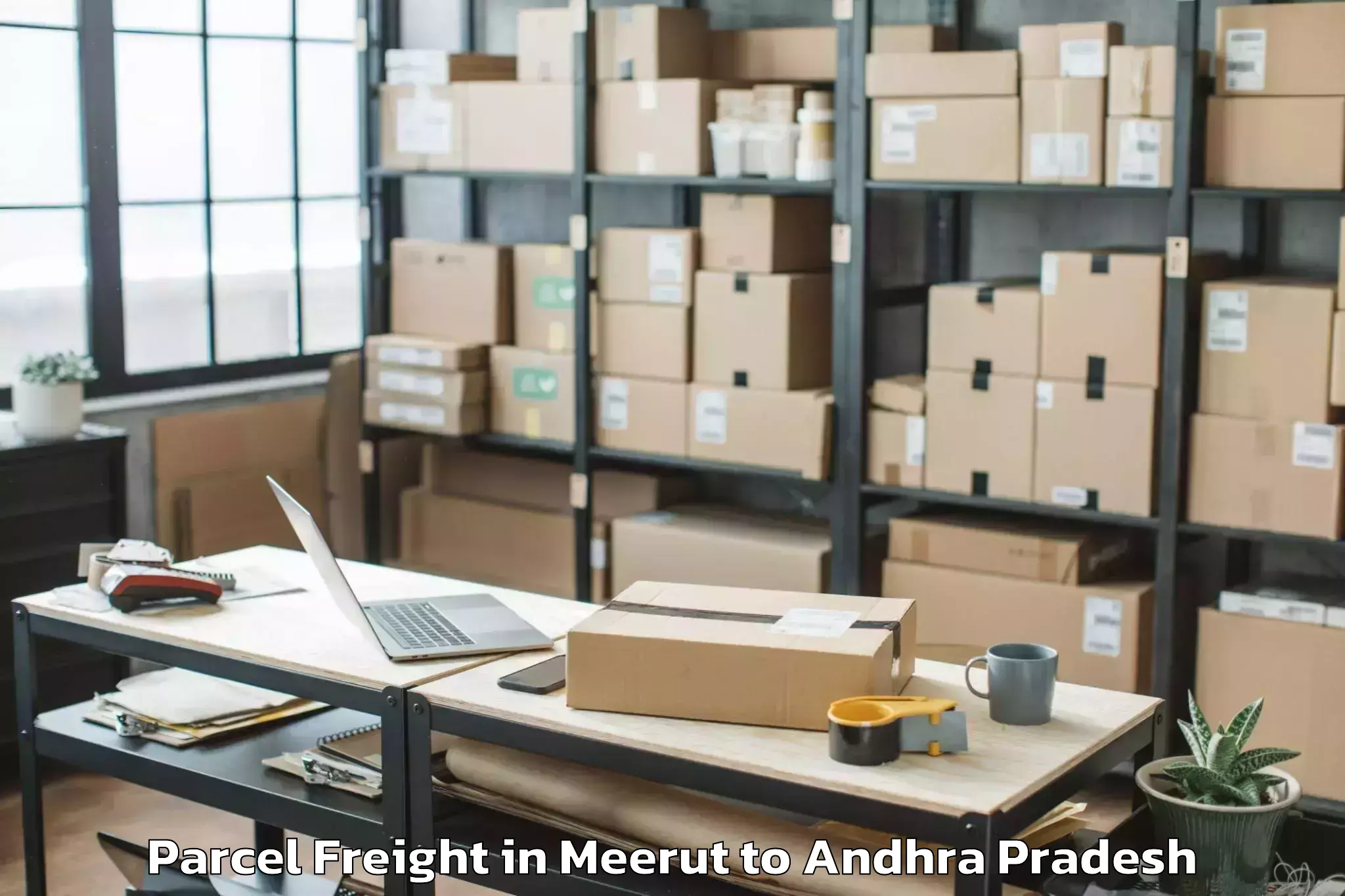 Affordable Meerut to Karamchedu Parcel Freight